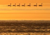 乡村好时节 骑游东平湖 | 一路乘风，满目皆景