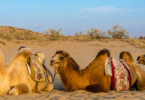 宁夏十部门联合开展旅游环境综合治理