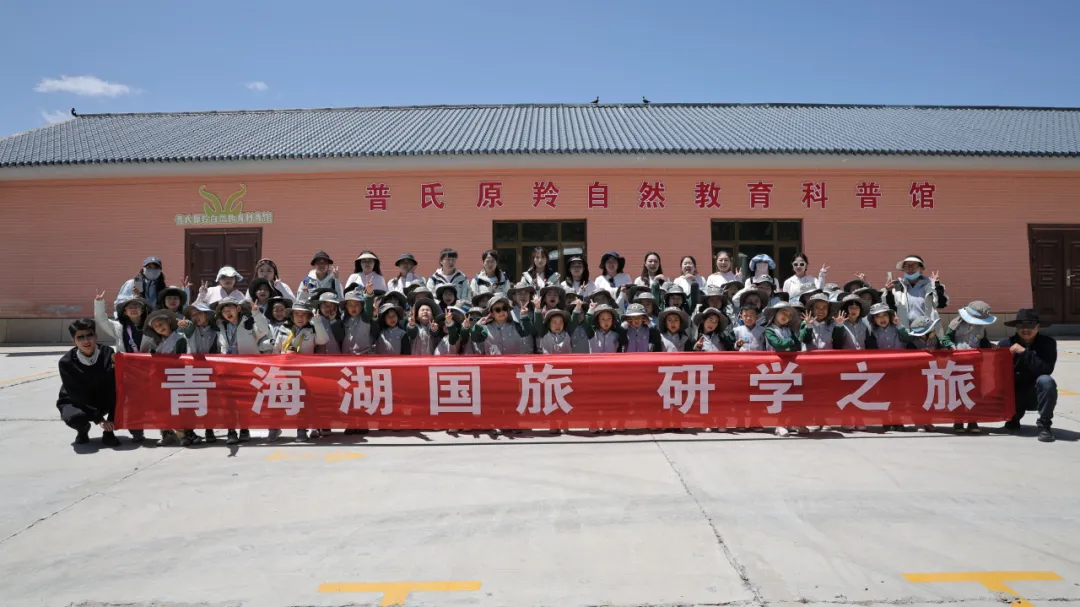 图片 16.png