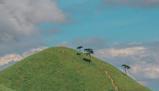免费门票+专属房惠‼️武功山&桃园山居致敬最可爱的人