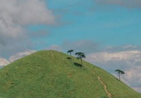 免费门票+专属房惠‼️武功山&桃园山居致敬最可爱的人
