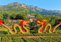 从淡季冷清到四季爆满，山海关靠“友好城市”破局