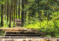 通知丨停电！王岗坪君澜正是放飞时。