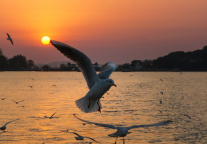 湖州南太湖诺富特酒店开业