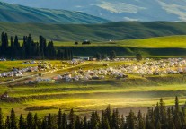 西藏旅游2025年上半年业绩扭亏，业务呈现多元发展态势