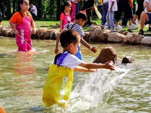 国庆“鱼”乐圈顶流！云朵梦庄园带你玩转亲子新潮流