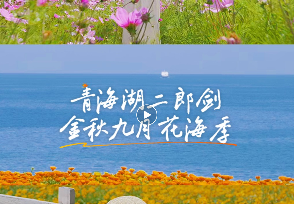 微信图片_20250924165027.png
