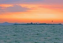 暑假快收尾？别纠结！东平湖景区，赏景撒欢两不误，轻松拿捏暑期嗨玩终章