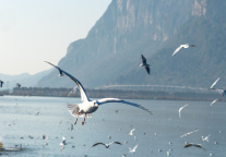 昆明：新建五星级酒店拟享最高3000万元补贴