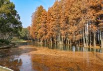  无锡的旅居坐标：格丽酒店，高架旁的舒适空间，串联商务与锡城风光