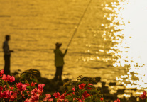 深港陆路口岸周末客流破200万创新高