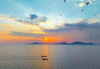 光荣榜 | 榜样力量引领前行，这些集体与个人值得点赞！