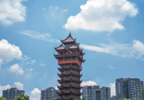 去哪儿：世运会期间 成都入境游人次同比增长31%