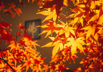 栖霞国资转让20亿文旅资产 支持组建文旅集团