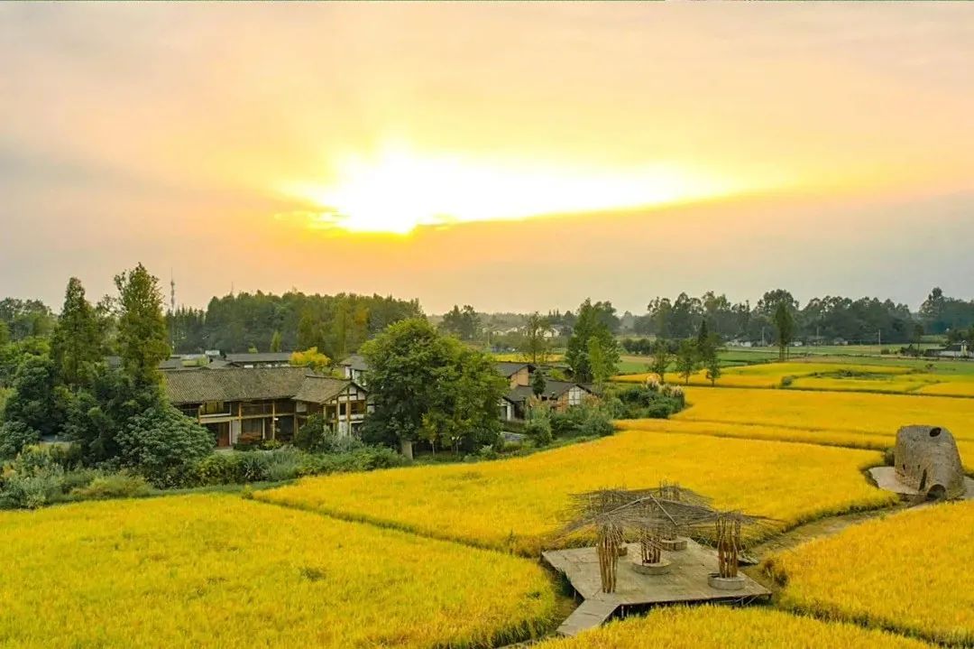 稻乡日常｜稻乡渔歌2家民宿入选成都民宿60强_2_稻乡渔歌_来自小红书网页版.jpg