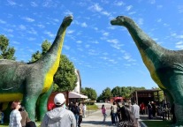 十堰郧阳青龙山恐龙蛋重大研究成果刷屏全球