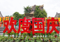 国庆长假首日，洪洞大槐树 “红” 透了！