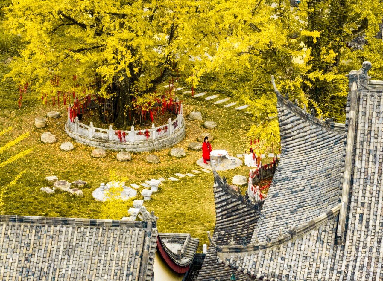 #明月山景区探秘记 抖音挑战赛，与秋天共赴热爱！