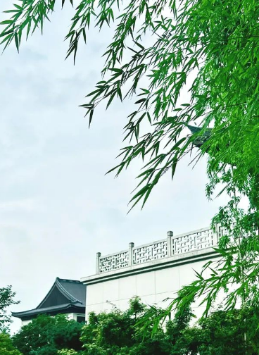 图片16.png