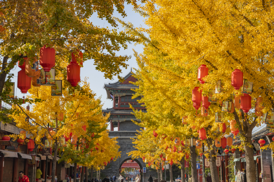 百团赴约·万客踏秋——山海关景区长城金秋漫游季来喽！