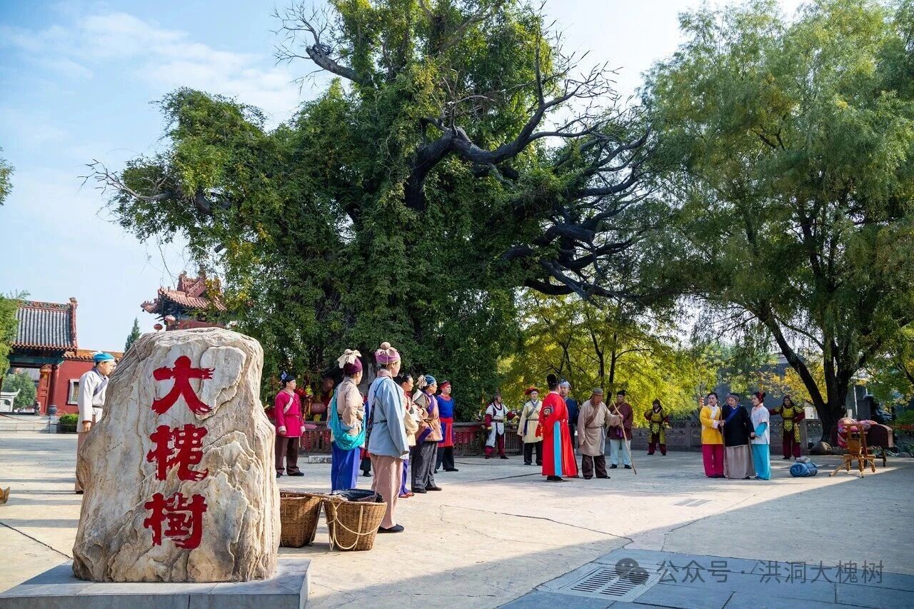 洪洞大槐树景区2025年“质量月”活动全面启动