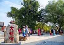 洪洞大槐树景区2025年“质量月”活动全面启动