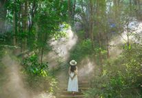 呼吸都是养生，上班等于旅行！龟峰景区扩招，邀你成为“景区合伙人”！