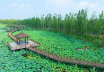 亲子研学 “潮” 这看，东平湖研学游让暑假有趣更有料