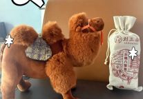 沙坡头景区失物招领第三期更新！快来认领您的宝贝