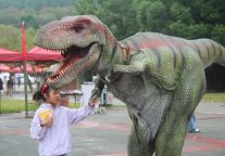 黄金周第四天，风雨里的“恐龙探秘狂欢”