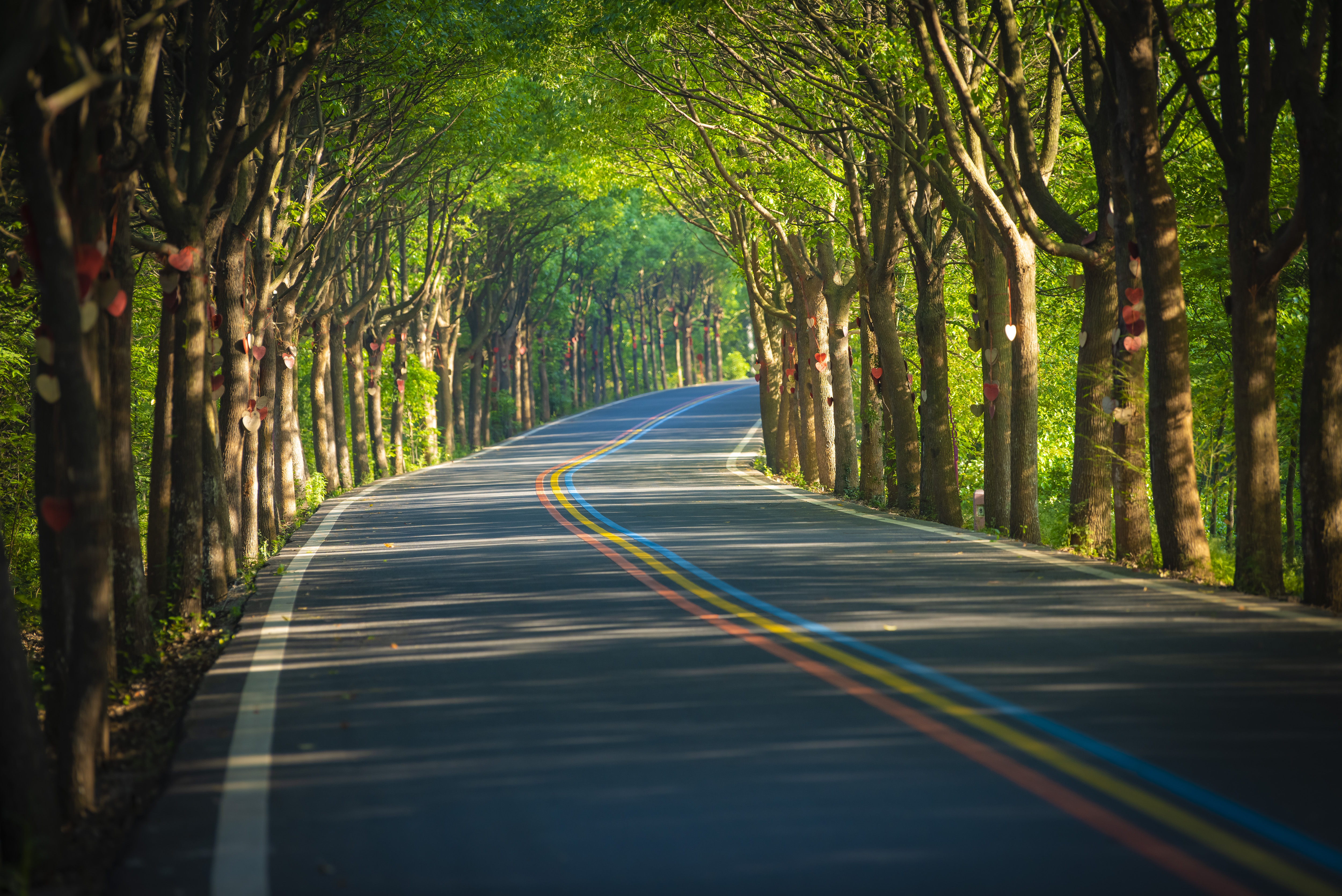 1号公路-爱情的套路.jpg