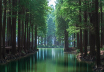 2025“湿地红了”盐城秋季文旅季启幕，沪盐文旅合作再升级