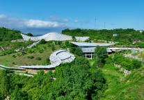 距今约8600万年！十堰青龙山恐龙蛋化石“年龄”首次被认定