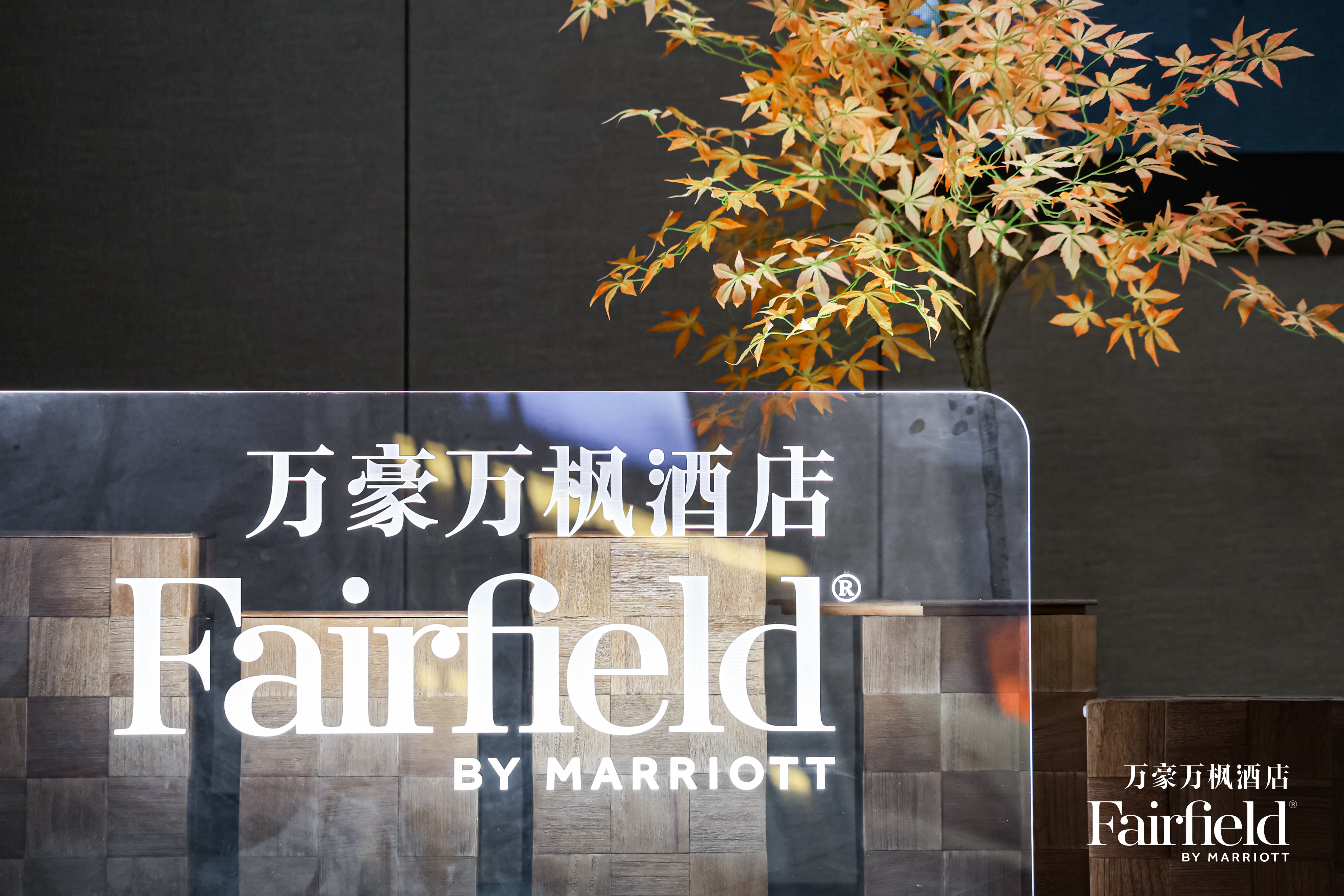 不张扬却很抗打！品牌焕新的万豪万枫如何破局制胜？