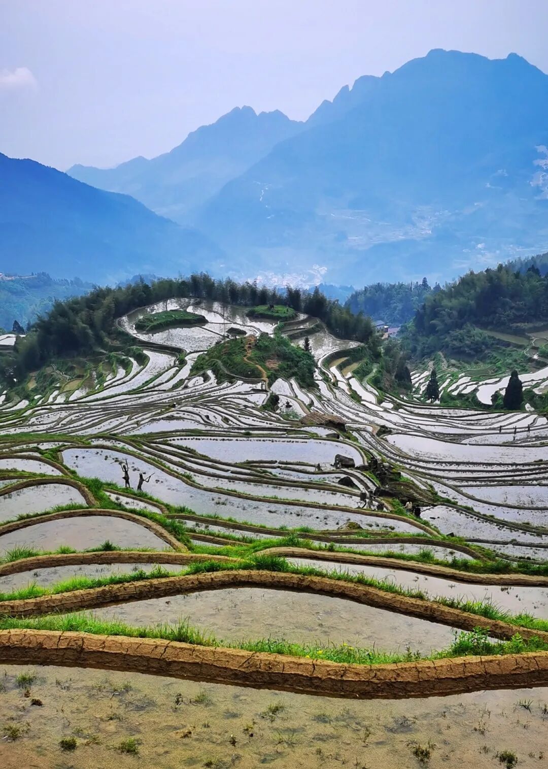 云和梯田.jpeg