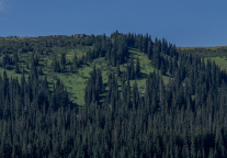 新疆八卦城花间境度假酒店项目开工，总投资逾2亿元