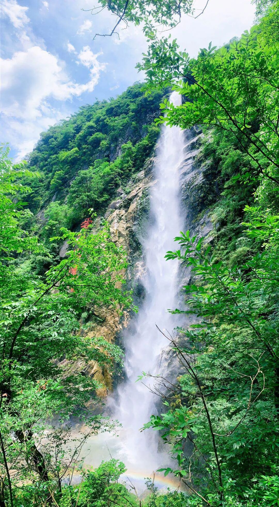 把夏天的生命力，拍进明月山景区的满格绿意！
