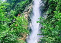 把夏天的生命力，拍进明月山景区的满格绿意！