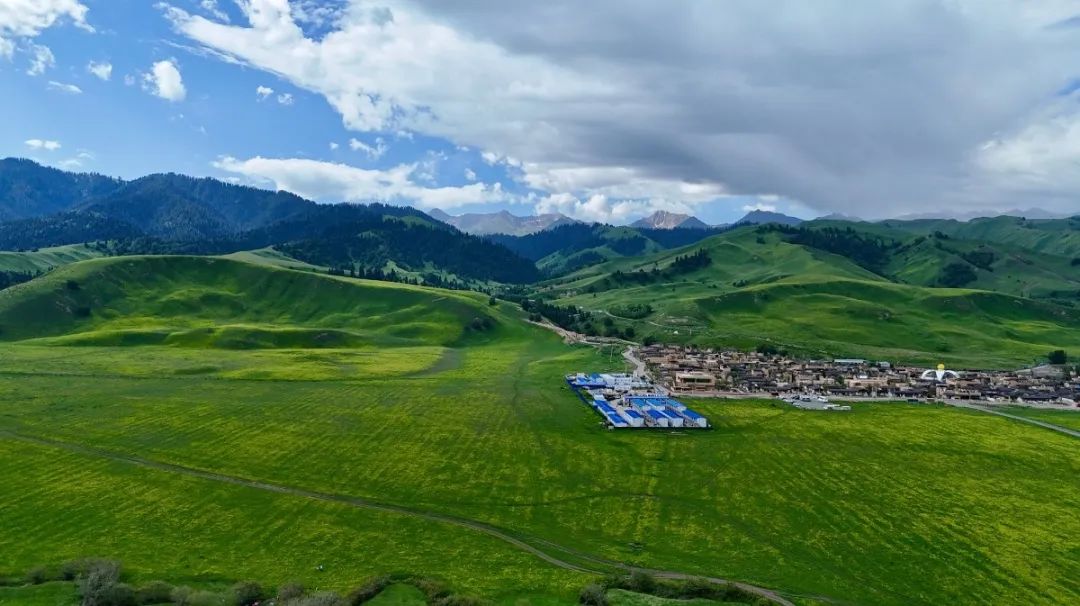dji_fly_20250702_113412_0267_1751429473143_photo-opq3776309463.jpg