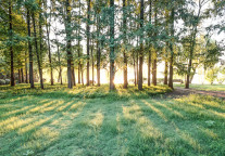 电广传媒旗下芒果文旅入驻云山国家森林公园，“新文旅”战略再推进