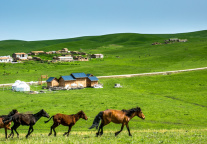 新疆文旅投景区资产公募REITs服务项目由戴德梁行中标