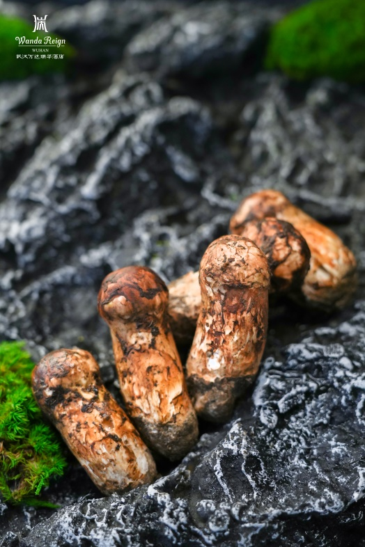 舌尖上的山野之旅 武汉万达瑞华酒店松茸上鲜