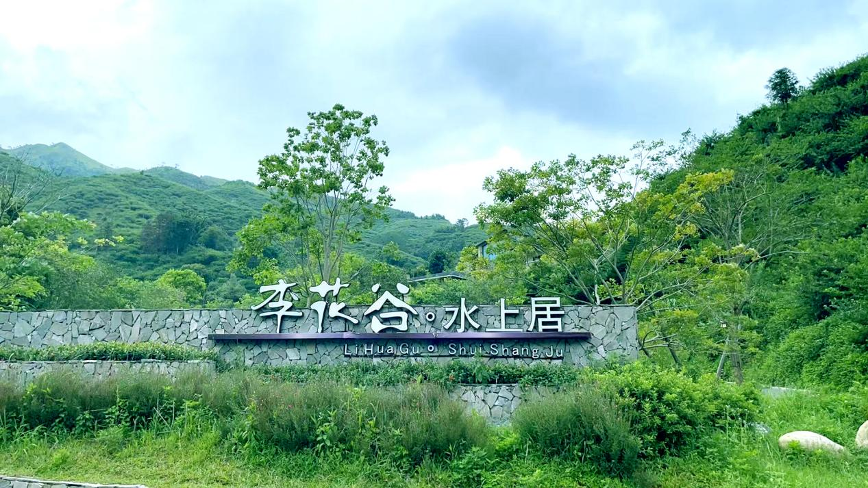 图片 7.png