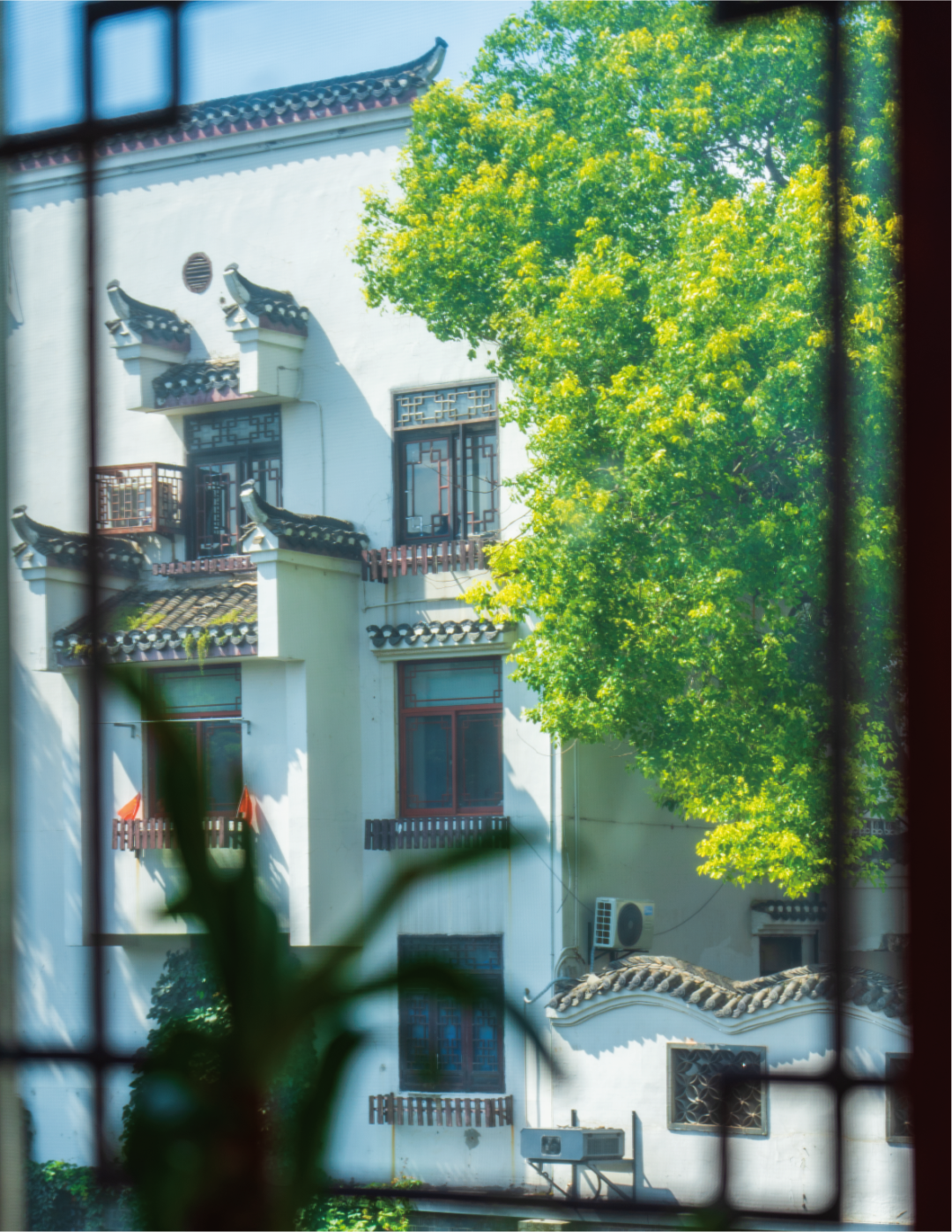 漫步移动“画廊”，窗里看三河古镇中式园林之美！