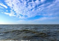 抖音严选！ 东平上榜山东10座宝藏小城，秋日打卡“超出彩”！