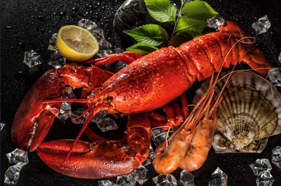 北京万达文华酒店｜粤飨新章，活色生鲜