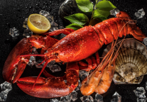 北京万达文华酒店｜粤飨新章，活色生鲜