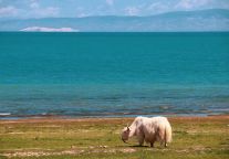 国庆邂逅青海湖景区半价浪漫！金秋限时特惠，帆船、快艇、半岛游全线优惠→
