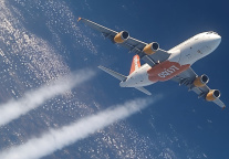 2025年上半年国际市场恢复总结发布