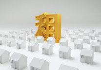 招商基金蛇口租赁住房REIT：扩募还需时间，但已储备丰富资源